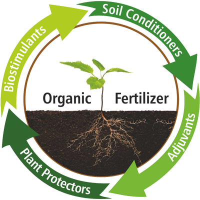 Organic Fertilizers